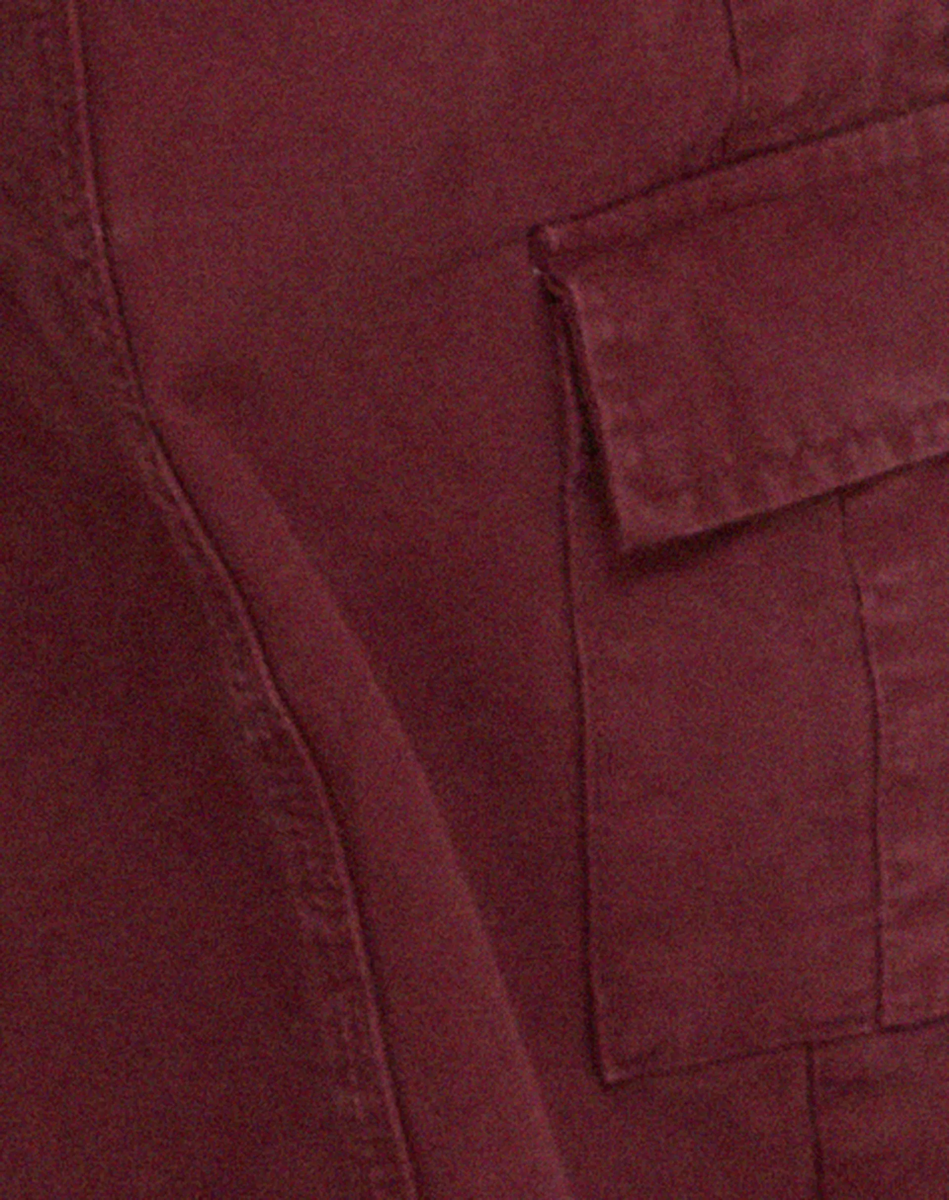 Hansa Cargo Trouser in Burgundy